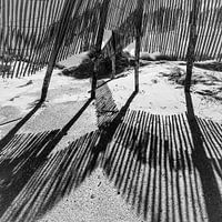 Shadowplay