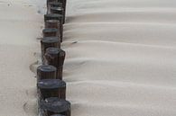 Breakwater poles by Erick van Bommel thumbnail