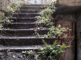 Upper floor by Photography by J