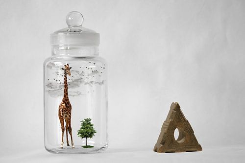 World in a bottle