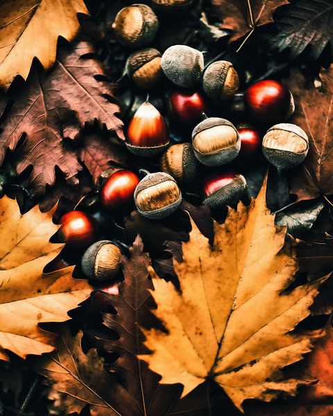 Ambiance automnale par fernlichtsicht