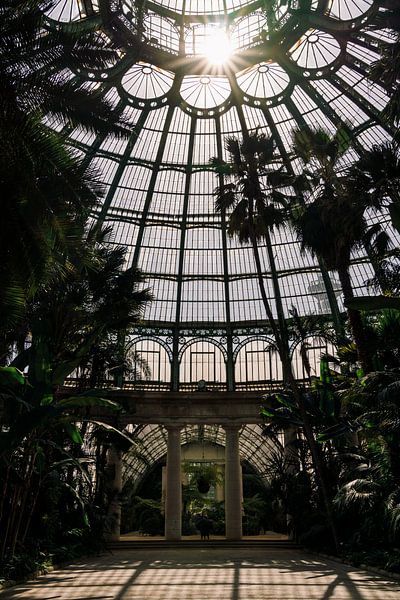 Royal greenhouses ᝢ botanical garden Brussels Belgium ᝢ plants flowers by Hannelore Veelaert