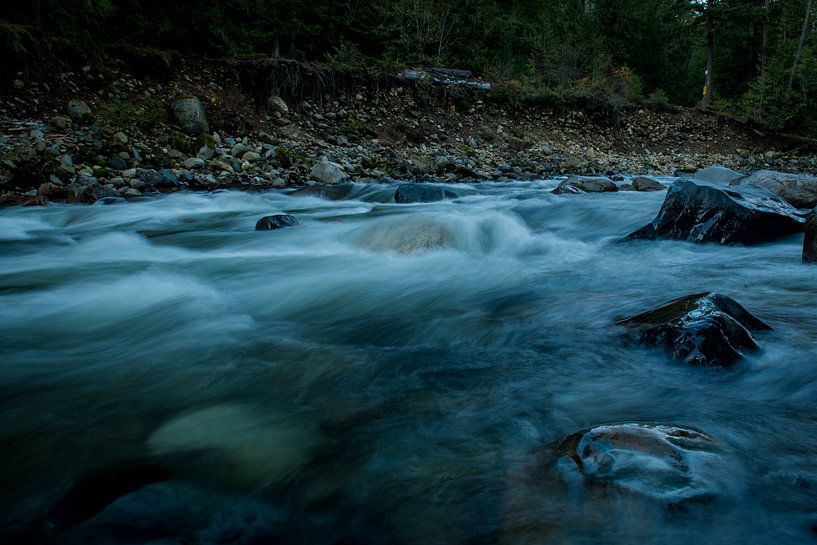 Running brook in Canada by Theo van Woerden