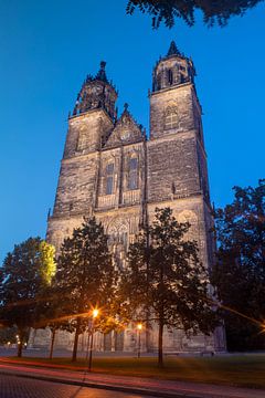 Magdeburger Dom bij nacht
