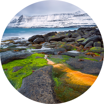 Verse sneeuw aan de steile kust