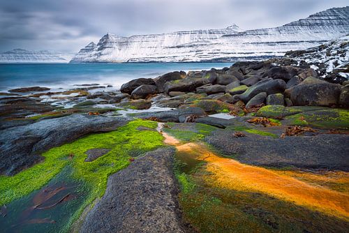 Verse sneeuw aan de steile kust