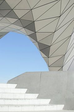 Musée des Confluences - Moderne architectuur in Lyon van Carolina Reina