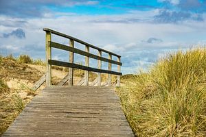 Landscape in the dunes of the North Sea island Amrum sur Rico Ködder