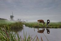 A foggy Sunday morning with good company