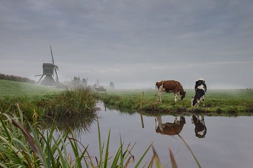 A foggy Sunday morning with good company