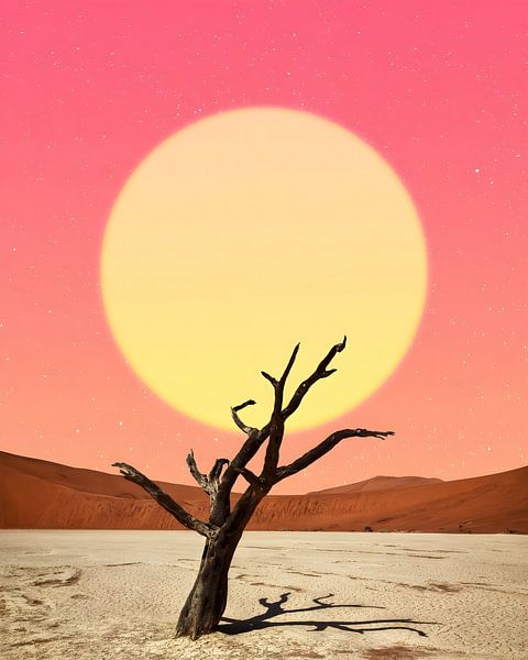 Loofbomen in de woestijn van Gapran Art