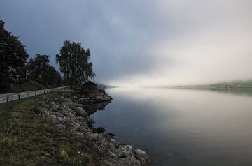 Mist over fjord in Noorwegen van hans scholte