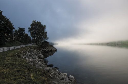 Brouillard sur un fjord en Norvège