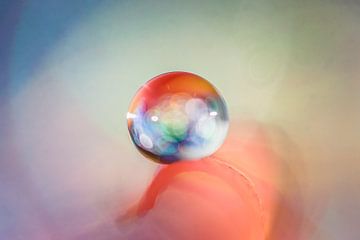 Macro van een waterdruppel met gekleurde lichtinval van Bert Nijholt