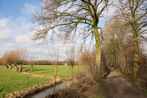 Het Scheidingslaantje op landgoed Nieuw Amelisweerd