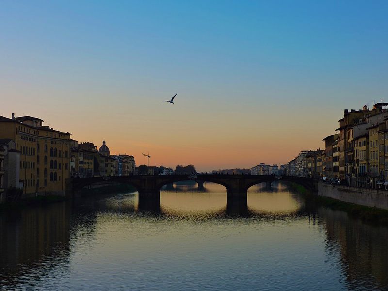Florence by Hello Pompoyo