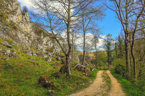 Wandelpad langs de Donau bij Fridingen onder de Stiegelesfels - Natuurpark Opper-Donau