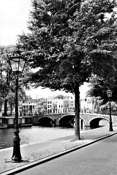 Amsterdam van Michelle Raven