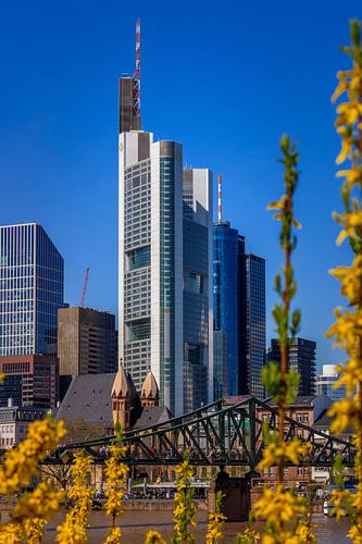 Commerzbanktoren in Frankfurt in het voorjaar