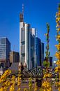 Commerzbanktoren in Frankfurt in het voorjaar van Fotos by Jan Wehnert thumbnail