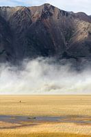 Sandstorm ||