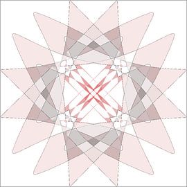 FIORE van rita sacco