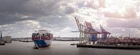 Riesiges Containerschiff im Hamburger Hafen von Jonas Weinitschke Miniaturansicht