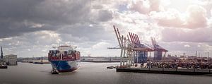 Enorm containerschip in de haven van Hamburg van Jonas Weinitschke