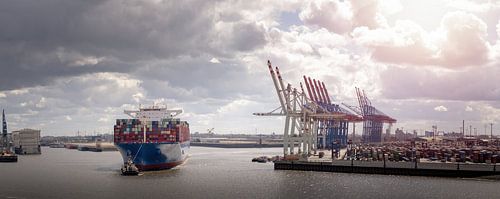 Containerschiff im Hafen von Hamburg bei bewölktem Himmel von Jonas Weinitschke