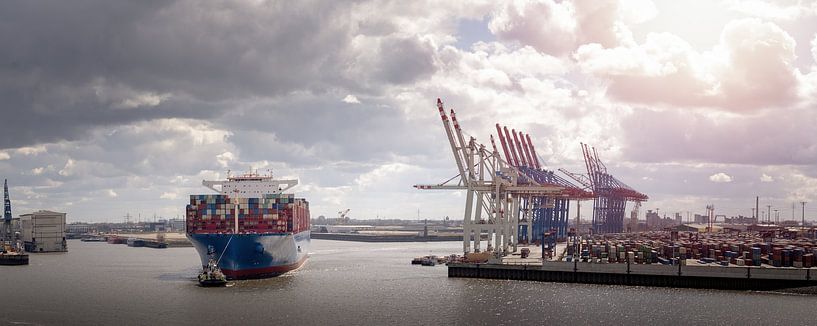 Riesiges Containerschiff im Hamburger Hafen von Jonas Weinitschke