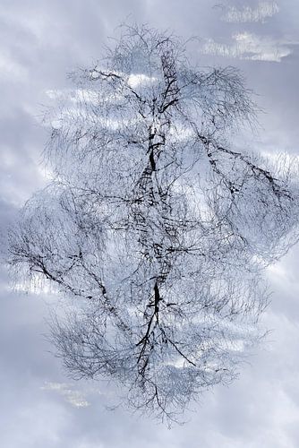 Bomen