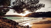 Mallorca - Cala Mondrago