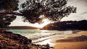 Majorque - Cala Mondrago