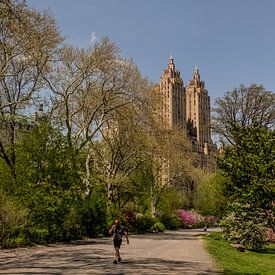 Central Park von Pim Korver