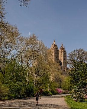 Central Park sur Pim Korver