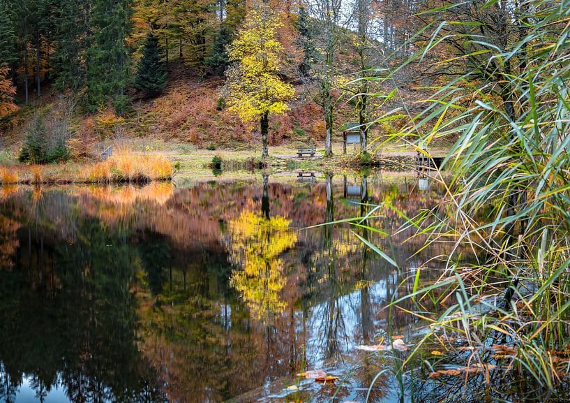 Automne en Forêt-Noire par Hans-Bernd Lichtblau