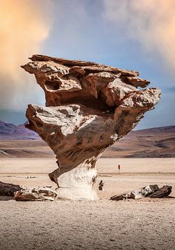 Rock by Alex Neumayer