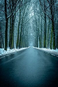 Route dans une hêtraie enneigée par une froide journée d'hiver sur Sjoerd van der Wal Photographie