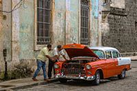 pana in havana
