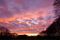 Roze gekleurde wolken in de avondlucht