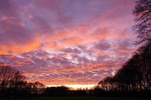 Nuages roses dans le ciel du soir