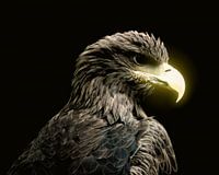 Dierenportret Adelaar met Glow Effect