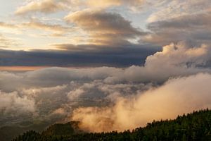 Das Licht der Azoren