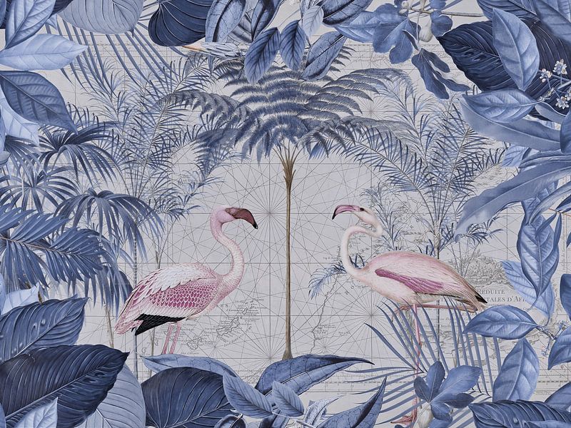 Paradis des flamants roses par Andrea Haase