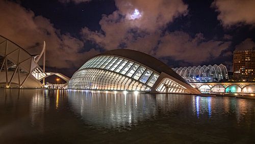 Oceanogràfic in Valancia tijdens de volle maan