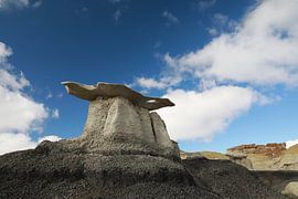 Bisti badlands in winter New Mexico, USA by Frank Fichtmüller