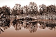 Winter poetry of the beaver - mocha mousse by Silva Wischeropp thumbnail