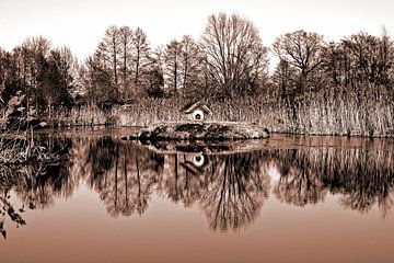 Winter poetry of the beaver - mocha mousse