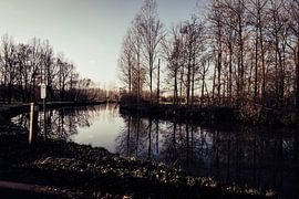 Winter 2020 Dender - Pollare by vw-photography