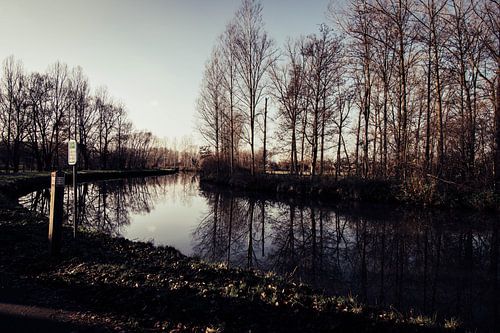 Winter 2020 Dender - Pollare